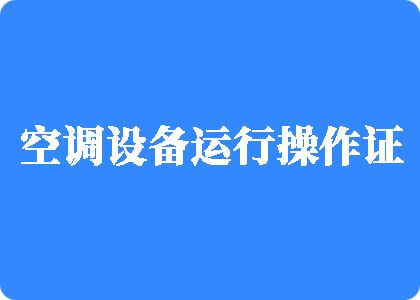 后入式日本BB操BB制冷工证